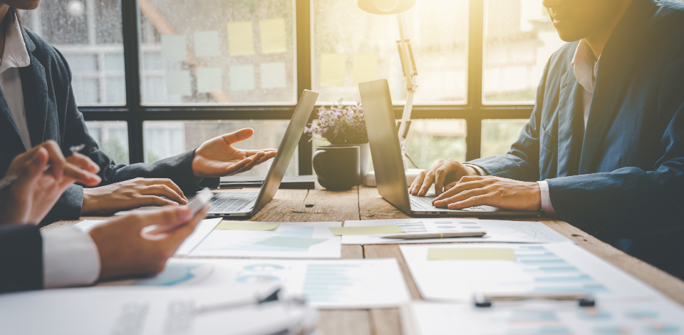 无邪的作育系统